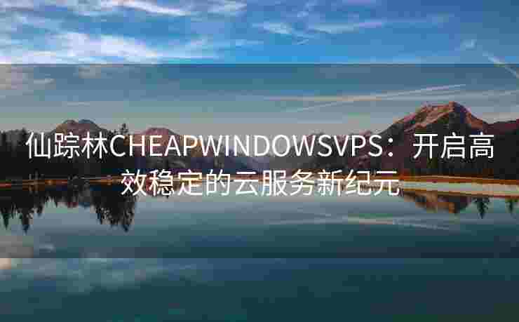 仙踪林CHEAPWINDOWSVPS：开启高效稳定的云服务新纪元